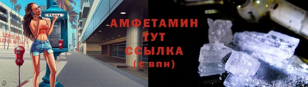 винт Ельня