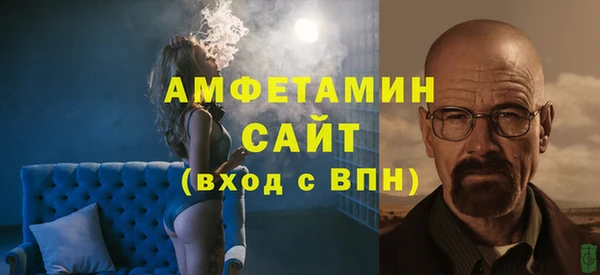 винт Ельня