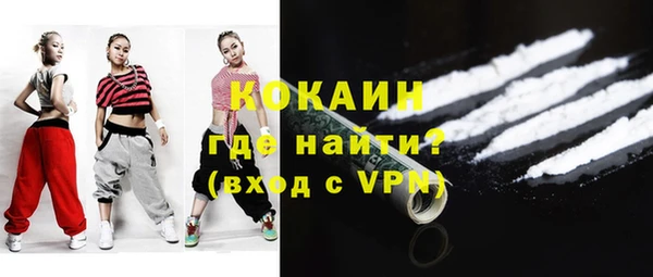 винт Ельня