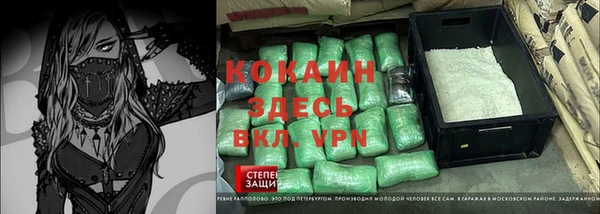 винт Ельня