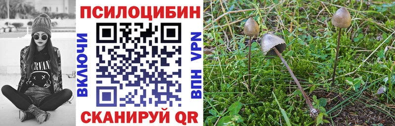 Псилоцибиновые грибы мицелий  Сызрань 
