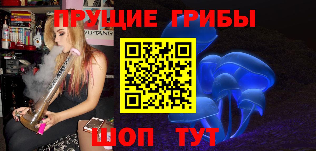Сызрань  Галлюциногенные грибы Psilocybe  Вход с VPN 